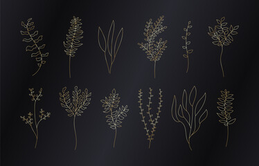 Gold branch decor line. Linear plant decoration set. Vector luxury collection.