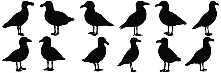 Bird seagull silhouettes set, large pack of vector silhouette design, isolated white background