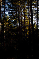 lago, paisaje, acuático, naturaleza, montagna, cielo, montagna, verano, río, otoñal, bosque,...
