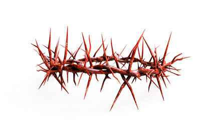 Naklejka premium Christian Context of Holy Week. White background. The crown of thorns of Jesus of Nazareth. Easter. Selective focus 