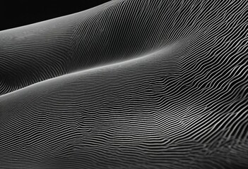 Abstract geometric dark monochrome background Lines in wave shape in black tones