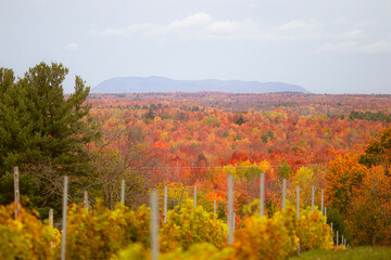 autumn in the mountains