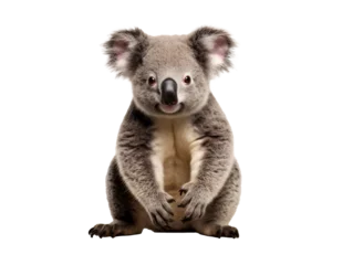 Zelfklevend Fotobehang a koala bear with its paws up © Ion