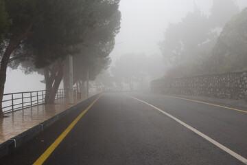 Car road in fog-shrouded forest