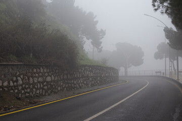 Car road in fog-shrouded forest