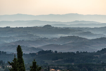 Typical Tuscan landscape with hills and cypresses in the very early morning near Montaione - obrazy, fototapety, plakaty