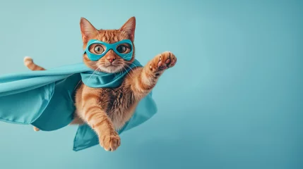 Fotobehang superhero cat, Cute orange tabby kitty with a blue cloak and mask jumping and flying on light blue background with copy space. The concept of a superhero, super cat, leader, funny animal studio shot. © Jasper W
