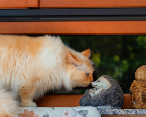 Curious cat sniffing on a hedgehog figurine