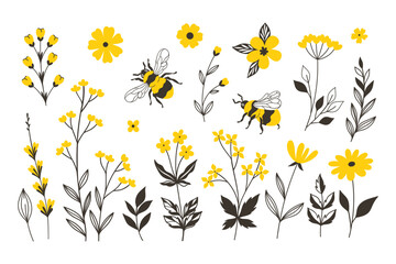 Set of bees and yellow flowers isolate on a white background. Vector graphics.