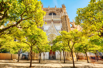 Seville Cathedral and Giralda Tower during Beautiful Sunny Day in Seville