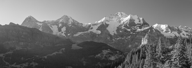 The panorama of Bernese alps with the Jungfrau, Monch and Eiger peaks in the morning light.