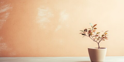 Minimalistic concept with tree in pot on rustic paper background at home office desk. Pastel toned backdrop with free space for creative design.