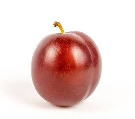 One purple plum isolated on white background.