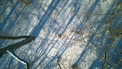 Aerial view of a man in snow covered forest, man wearing down jacket during severe frost winter