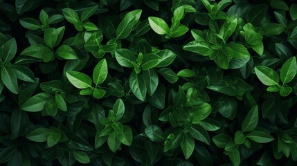 Superb Clean Green Foliage Texture AI Generated AI Generated
