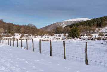 Snowy meadows in Belate. Navarre