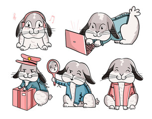 Conejos