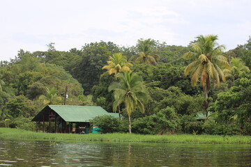 Fototapeta na wymiar Casa en la selva tropical