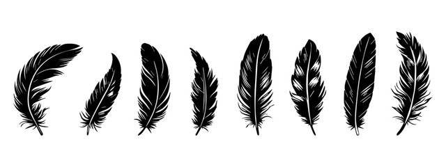 Bird Feather black silhouettes. Plumelet collection. Vector isolated on white