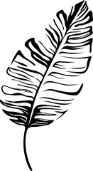 Obraz premium Abstract tropical black and white leaf. Hand drawn engraved ink art. Isolated illustration element on white background.