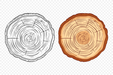 Tree Rings, Oak and Pine Slices, Lumber, and Timber Cross Section with Saw Cut Detail. Tree Trunk, Wood Log, Pine, Oak Slices, Lumber, Cut Timber. Hand Drawn, Design Element