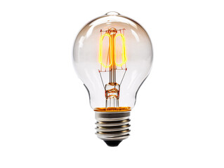 a light bulb with a filament