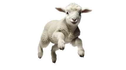 Raamstickers a white lamb jumping in the air © Dogaru