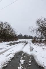 Zimowa panorama zaśnieżonej polnej ścieżki porośniętej dookoła drzewami w popołudniowych godzinach pochmurnego szarego dnia w Zachodniej Polsce