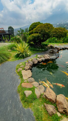 Beautiful koi pond in the garden with a beautiful flower garden in front of the house. Sigandul...