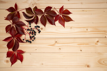 Copy space from autumn dried leavesand berrys on a wooden background. View from above