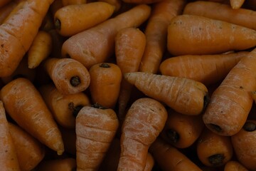 carrots on the market