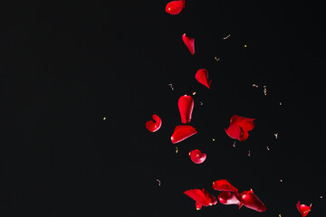 Red Rose Petals Falling on Black Background