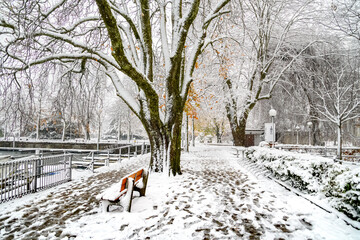 Lungolago con neve 01 -alberi spogli, panchina e nevischio 