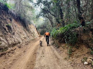 Obraz premium Dog and person riding on a dirt road in the mountains on a bike.