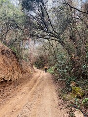 Dog and person riding on a dirt road in the mountains on a bike.