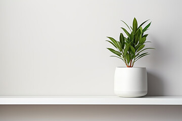 Wooden shelf with a green plant in a white pot against a white wall. Generated by artificial intelligence