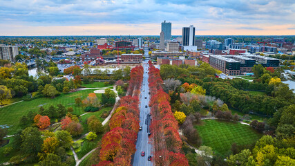 Aerial Autumn Cityscape with Tree-Lined Boulevard at Sunrise