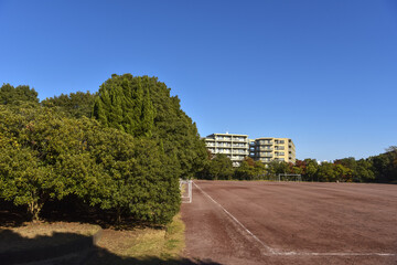 晴れた日の運動場