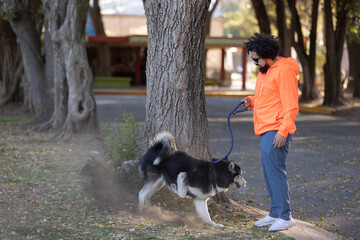 Naklejka na ściany i meble Latino man with curly hair and orange jacket, watching his husky dog scratching the park floor