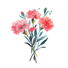 カーネーションの水彩イラスト、手書き、花束、ピンク