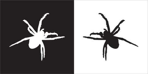 Illustration vector graphics of spider icon