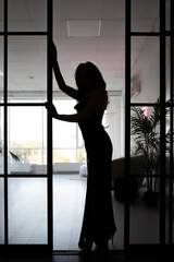 Silhouette of a beautiful girl in a tight dress, high heels. Posing elegantly seductively in the...