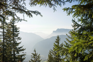 View of Alpine mountains framed by trees, Haute-Savoie, France