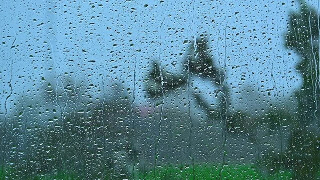 Rainy weather with trees swaying in the strong wind visible through wet window glass
