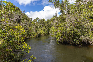rio na cidade de Costa Rica, Estado do Mato Grosso do Sul, Brasil
