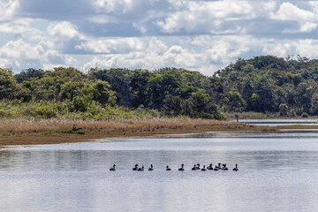 rio na cidade de Costa Rica, Estado do Mato Grosso do Sul, Brasil