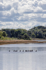 rio na cidade de Costa Rica, Estado do Mato Grosso do Sul, Brasil
