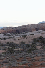 rocky landscape in the desert with mountain 