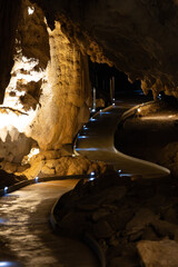 Waitomo Caves in New Zealand
