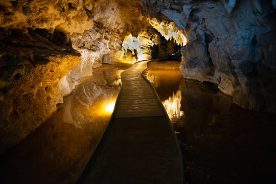 Waitomo Caves in New Zealand